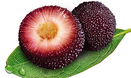 小兒扁桃體發(fā)炎吃什么水果