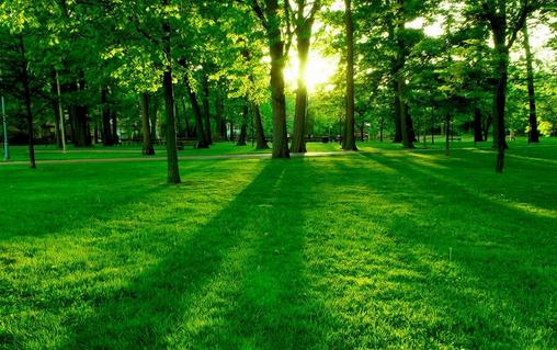 職場上需要注意的事項：競爭并非都帶來益處