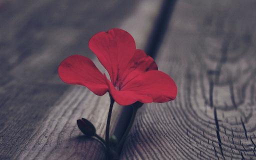 遇到憤怒的事情要如何平復心情?