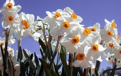 職場人士也應(yīng)有“成長危機(jī)”