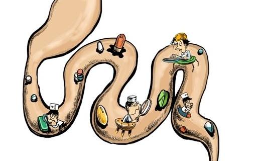 男性進補固然重要但勿忘排毒