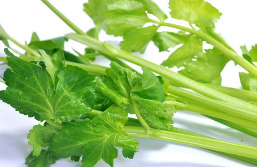 你知道哪些食物會殺精嗎?