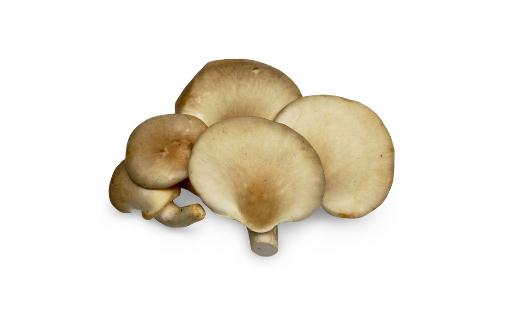 吃鮑魚菇有什么好處？鮑魚菇的做法