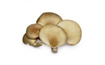 吃鮑魚菇有什么好處？鮑魚菇的做法