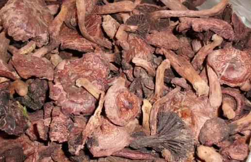 肉蘑有哪些功效?肉蘑的做法