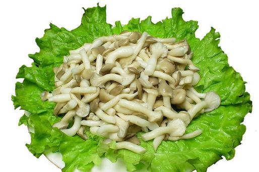 秀珍菇的營養(yǎng)價(jià)值 秀珍菇的做法