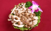 蟹味菇的營養價值 蟹味菇的做法大全