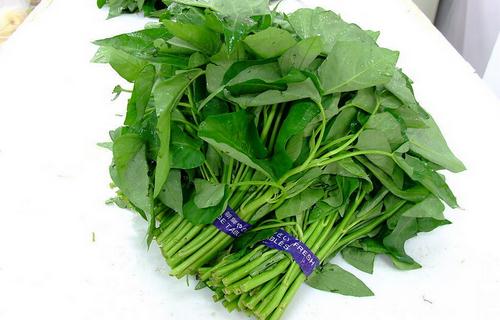藤藤菜是什么?藤藤菜的做法