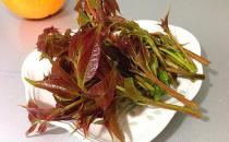 如何挑選香椿芽？香椿芽怎么吃最健康？