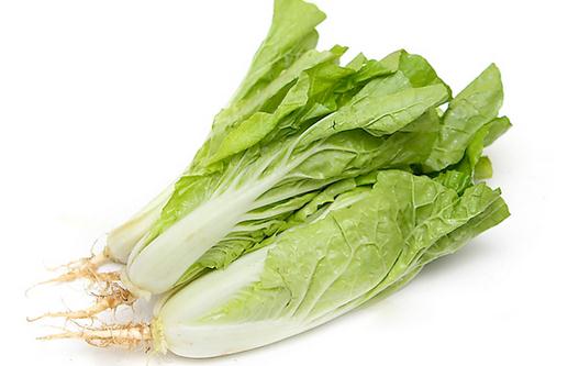 小白菜怎么做?小白菜的簡介