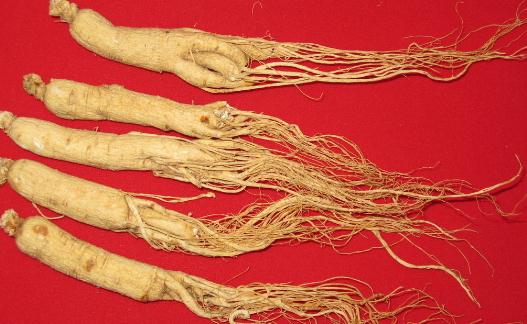 開車前不宜吃哪些藥物？