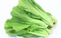 葉用芥菜是什么？葉用芥菜怎么做？