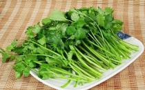 芫荽是什么？芫荽怎么做好吃？