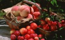 上火吃什么水果能降火？