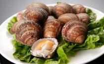 鳥貝是什么？鳥貝的做法