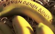 如何區分香蕉和芭蕉？