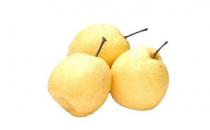 不同的梨子都有哪些功效？