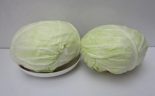 包菜有什么營養價值