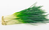 青蔥如何挑選？青蔥的營養價值