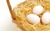 吃雞蛋到底能不能補鐵？