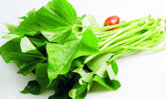 被扔掉的紅薯葉其實(shí)是營(yíng)養(yǎng)全能王