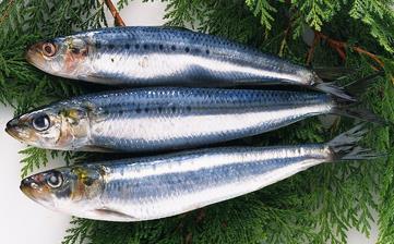【青魚(yú)】_青魚(yú)的營(yíng)養(yǎng)價(jià)值,青魚(yú)怎么做好吃,青魚(yú)的做法大全