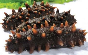 【海參】_海參的功效與作用,海參的家常做法,海參的做法大全 【海參】_海參的功效與作用,海參的家常做法,海參的做法大全