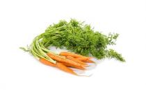 烹調胡蘿卜不放油行不行？