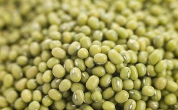 【綠豆】_營養價值,功效與作用,怎么吃,做法大全,適用人群,食用禁忌