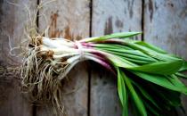 如何吃蔥營養最佳？