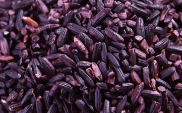 【紫米】_營養價值,功效與作用,怎么做好吃,做法大全,食用禁忌 【紫米】_營養價值,功效與作用,怎么做好吃,做法大全,食用禁忌