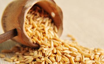 【燕麥】_營養價值,功效與作用,怎么吃,做法大全,適用人群,食用禁忌 【燕麥】_營養價值,功效與作用,怎么吃,做法大全,適用人群,食用禁忌