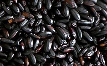 【黑米】_營養(yǎng)價(jià)值,功效與作用,怎么吃,做法大全,適用人群,食用禁忌