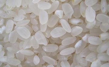 【粳米】_營養價值,功效與作用,怎么吃,做法大全,適用人群,食用禁忌 【粳米】_營養價值,功效與作用,怎么吃,做法大全,適用人群,食用禁忌