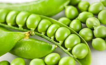 【豌豆】_營養(yǎng)價值,功效與作用,怎么吃,做法大全,適用人群,食用禁忌