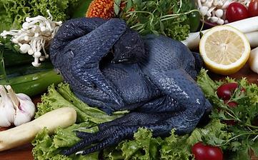 【烏雞】_營養價值,功效與作用,怎么吃,做法大全,適用人群,食用禁忌 【烏雞】_營養價值,功效與作用,怎么吃,做法大全,適用人群,食用禁忌