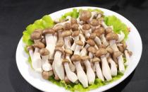 鮮味會讓人胃口更好嗎？