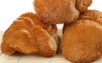 咸鮮味美的猴蘑牛頭方怎么做？