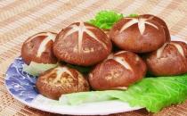 挑選好品質香菇的方法