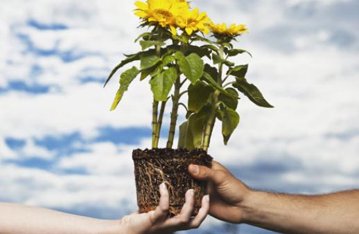 鄰里關系好會給我們帶來哪些好處?