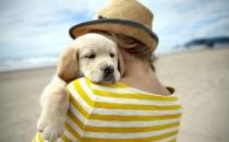 養寵物能夠克服孤獨感