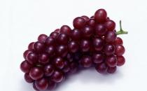 五款護膚圣品增強皮膚活力