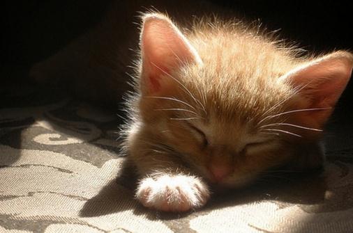 心理療法幫你克服強迫癥