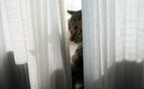 如何克服完美主義思想？