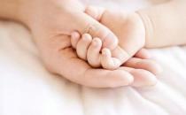 產后吃啥食物可以減肥