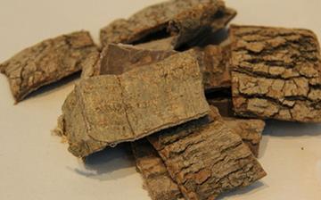 【杜仲】中藥材杜仲的作用與功效_杜仲泡水喝的禁忌_杜仲的藥用價值