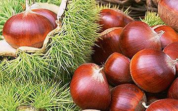 【板栗】板栗怎么去皮_板栗的功效與作用_板栗的營養(yǎng)價(jià)值_糖炒栗子