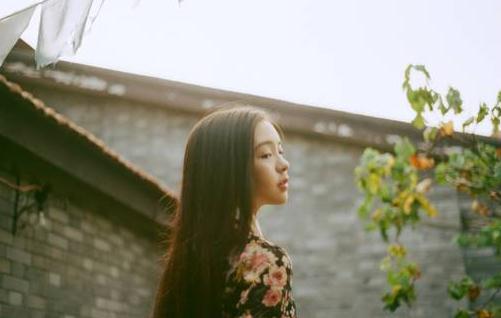 盤點能夠治療婦科疾病的中草藥