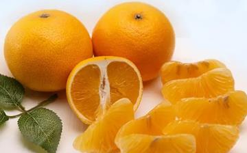 【胡柚】胡柚的功效與作用_胡柚上火嗎_胡柚怎么吃_胡柚是什么