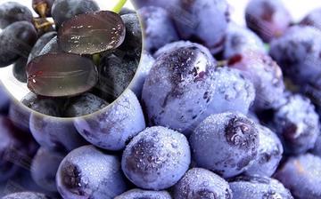 【黑加侖】黑加侖的功效與作用_黑加侖上火嗎_黑加侖怎么吃_黑加侖是什么 【黑加侖】黑加侖的功效與作用_黑加侖上火嗎_黑加侖怎么吃_黑加侖是什么